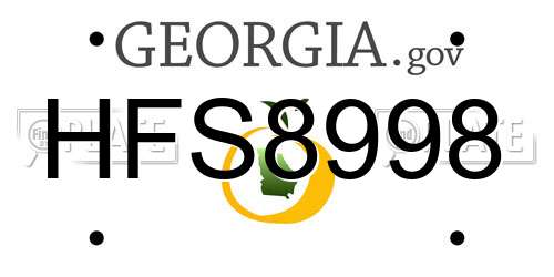 HFS8998 Georgia License Plate