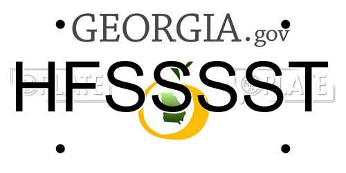 HFSSSST Georgia License Plate