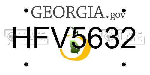 HFV5632 Georgia License Plate