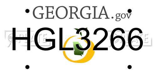 HGL3266 Georgia License Plate