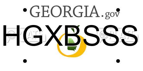 HGXBSSS Georgia License Plate