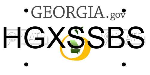 HGXSSBS Georgia License Plate