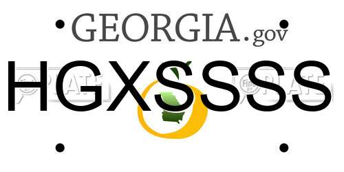 HGXSSSS Georgia License Plate