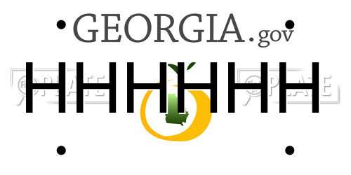HHHHHH Georgia License Plate