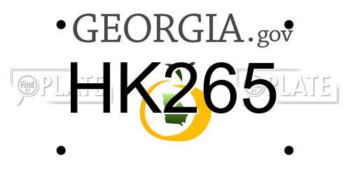 HK265 Georgia License Plate