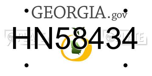 HN58434 Georgia License Plate
