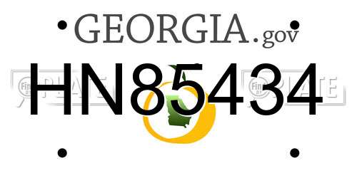 HN85434 Georgia License Plate