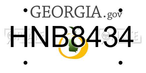 HNB8434 Georgia License Plate