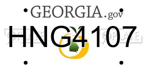 HNG4107 Georgia License Plate