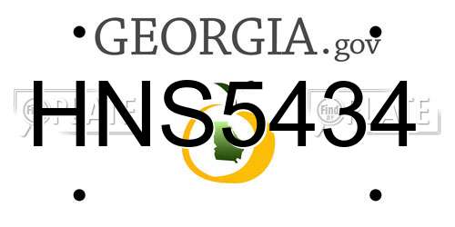 HNS5434 Georgia License Plate
