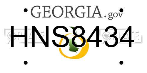 HNS8434 Georgia License Plate
