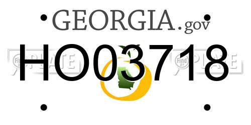 HO03718 Georgia License Plate