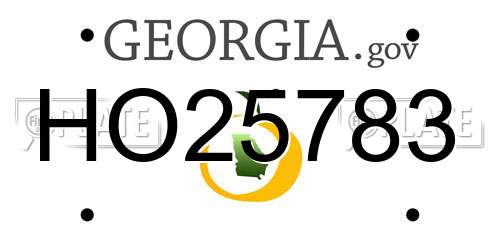 HO25783 Georgia License Plate