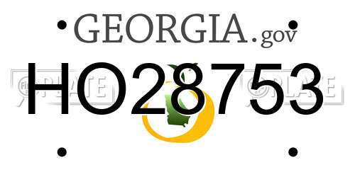 HO28753 Georgia License Plate