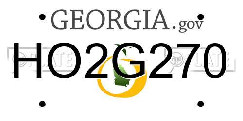 HO2G270 Georgia License Plate