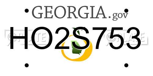 HO2S753 Georgia License Plate