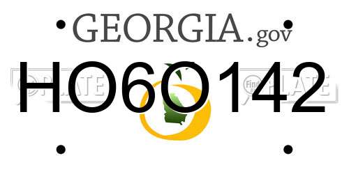 HO6O142 Georgia License Plate
