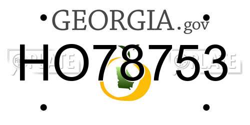 HO78753 Georgia License Plate