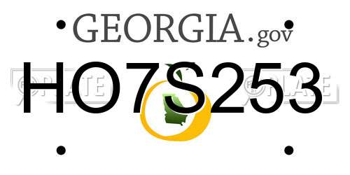 HO7S253 Georgia License Plate