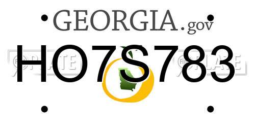 HO7S783 Georgia License Plate