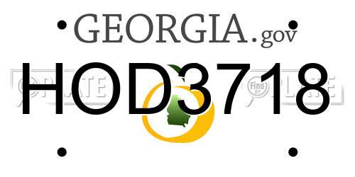 HOD3718 Georgia License Plate