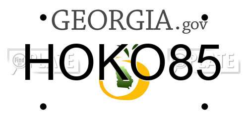 HOKO85 Georgia License Plate