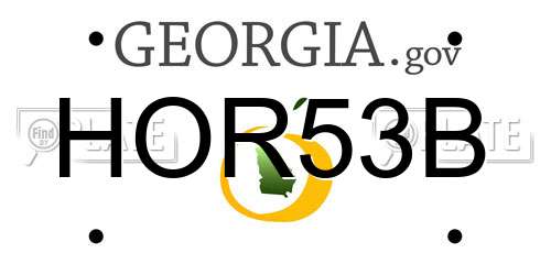 HOR53B Georgia License Plate