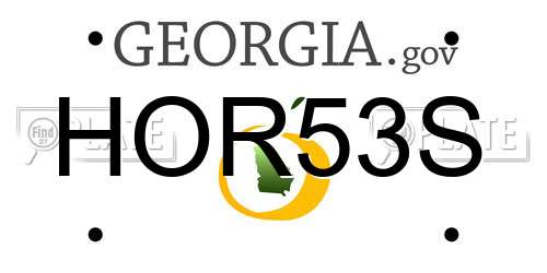 HOR53S Georgia License Plate