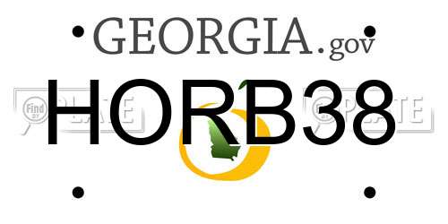HORB38 Georgia License Plate