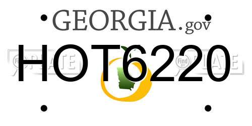 HOT6220 Georgia License Plate