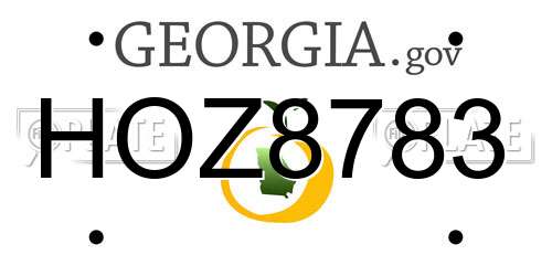 HOZ8783 Georgia License Plate