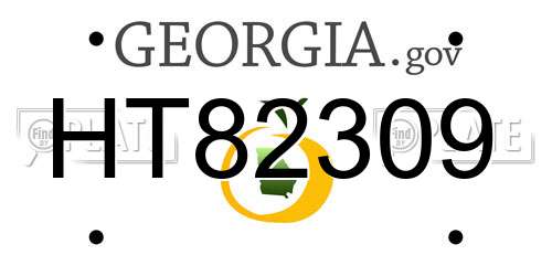 HT82309 Georgia License Plate