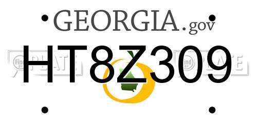HT8Z309 Georgia License Plate
