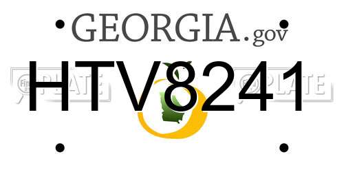 HTV8241 Georgia License Plate