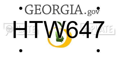 HTW647 Georgia License Plate