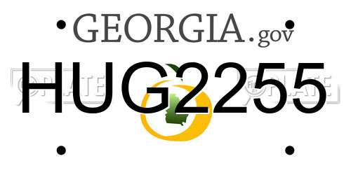 HUG2255 Georgia License Plate