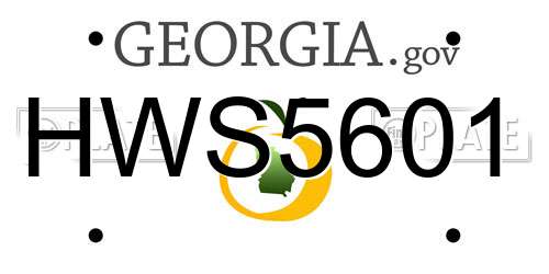 HWS5601 Georgia License Plate