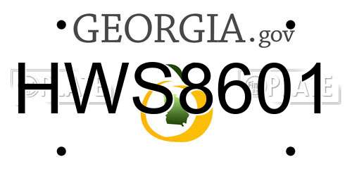HWS8601 Georgia License Plate