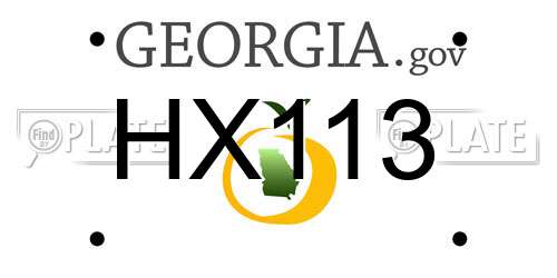 HX113 Georgia License Plate