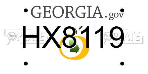 HX8119 Georgia License Plate