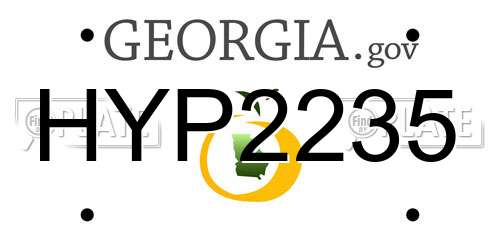 HYP2235 Georgia License Plate