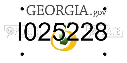 I025228 Georgia License Plate
