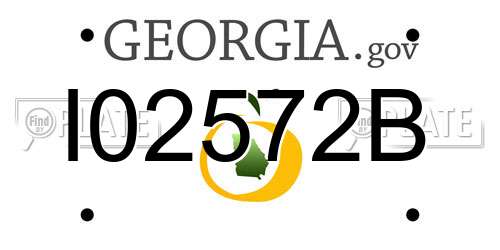 I02572B Georgia License Plate