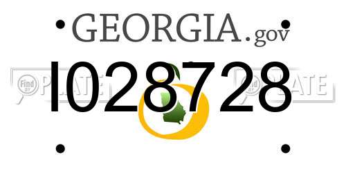 I028728 Georgia License Plate