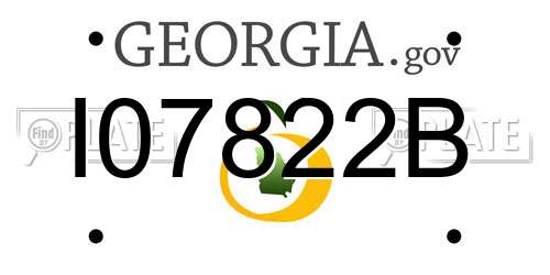 I07822B Georgia License Plate