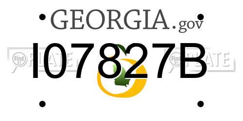 I07827B Georgia License Plate