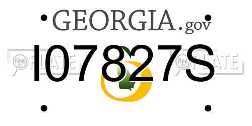 I07827S Georgia License Plate