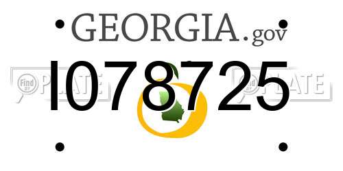 I078725 Georgia License Plate
