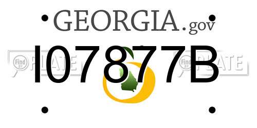 I07877B Georgia License Plate