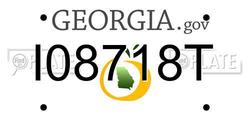 I08718T Georgia License Plate